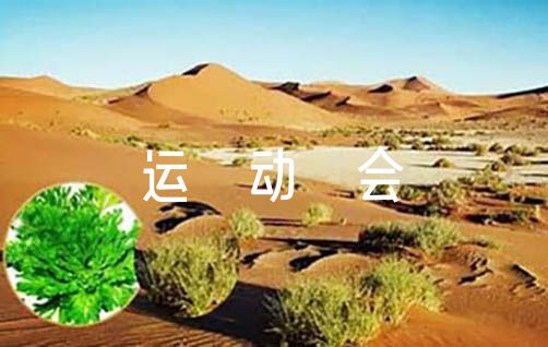 哪里能找到最新的篮球训练和发展策略_2