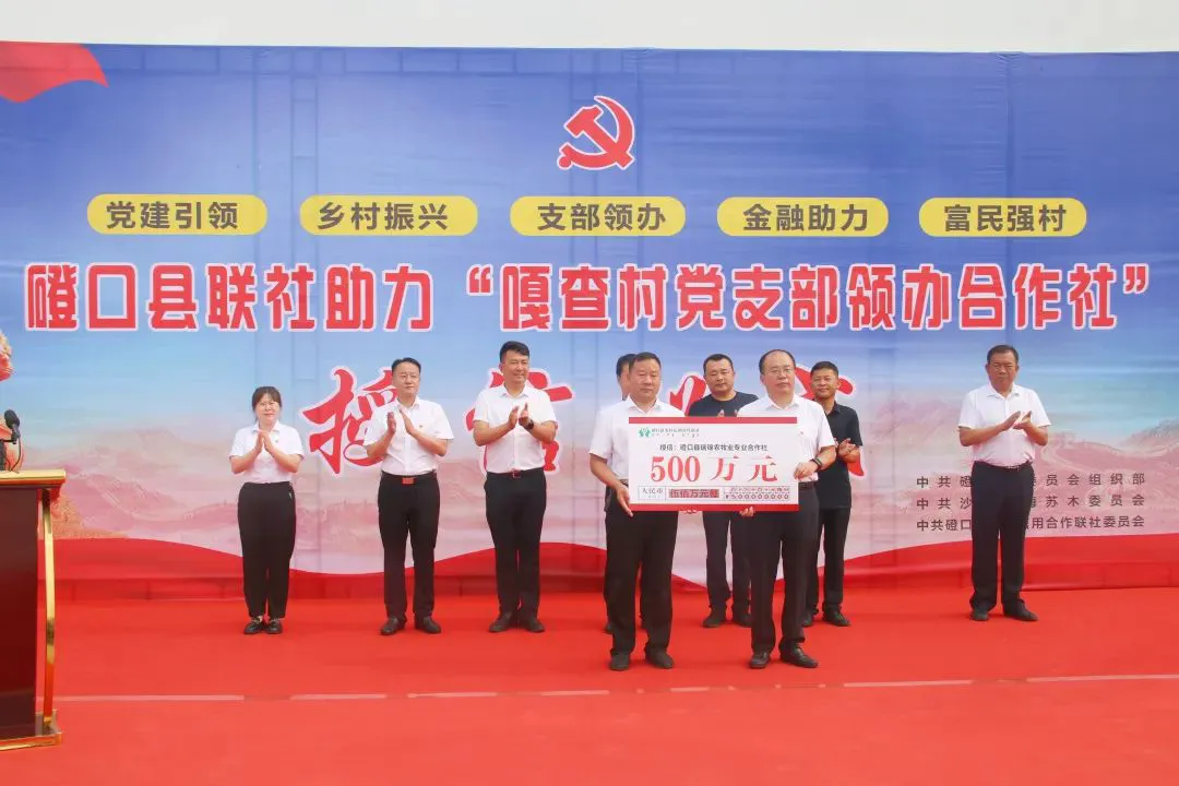 如何为不同水平的球员制定个性化的篮球训练策略_0